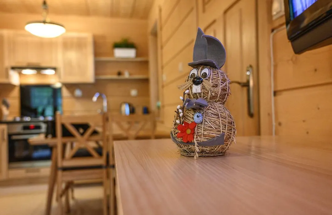 Regionalny Domek pod Skocznią-1